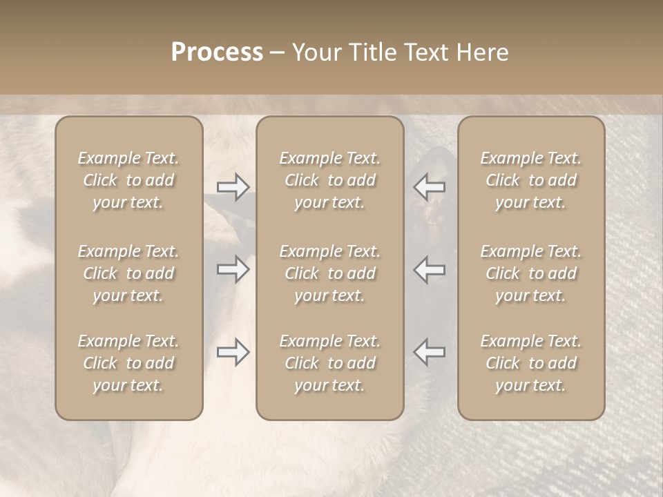 Elderly Woman With Her Daughter PowerPoint Template
