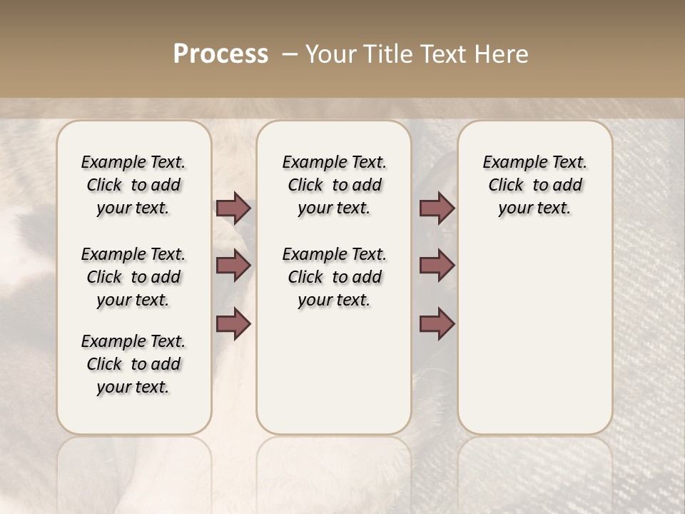 Elderly Woman With Her Daughter PowerPoint Template
