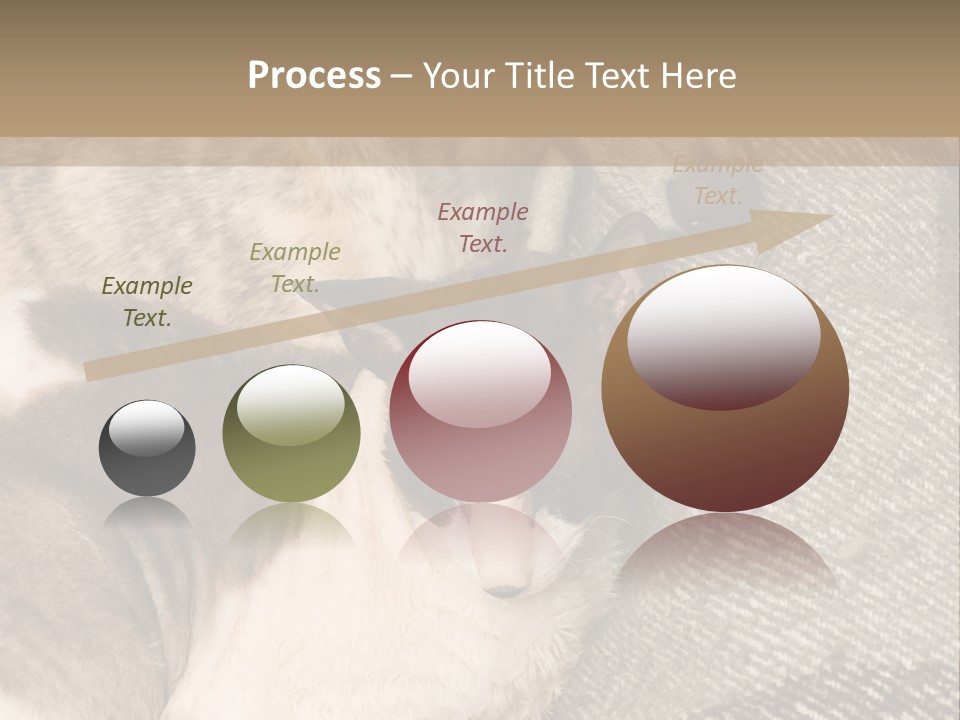 Elderly Woman With Her Daughter PowerPoint Template