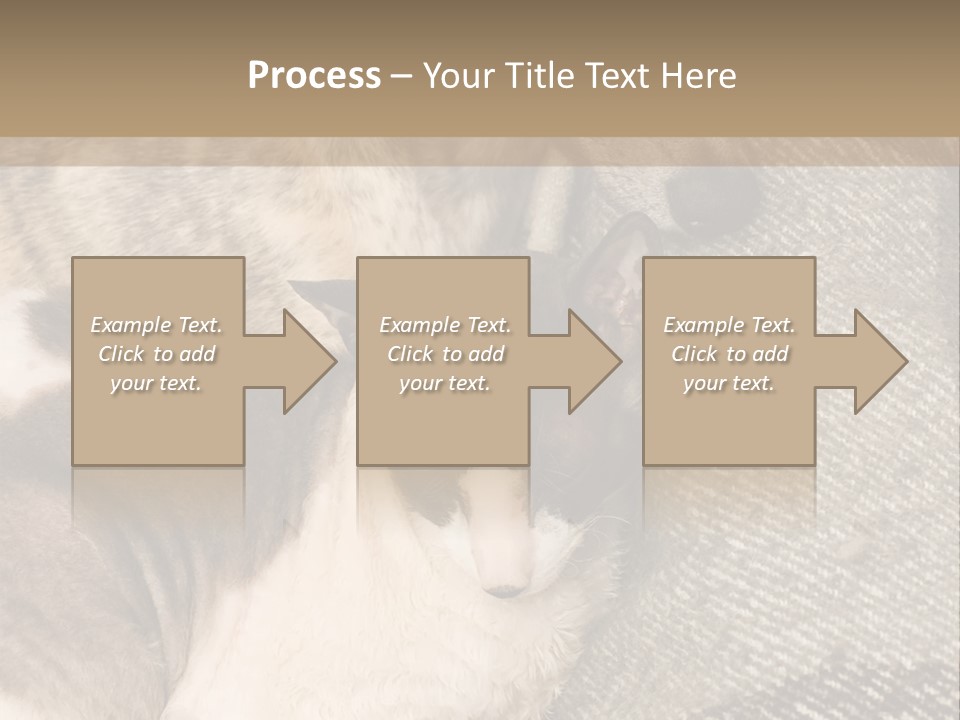 Elderly Woman With Her Daughter PowerPoint Template