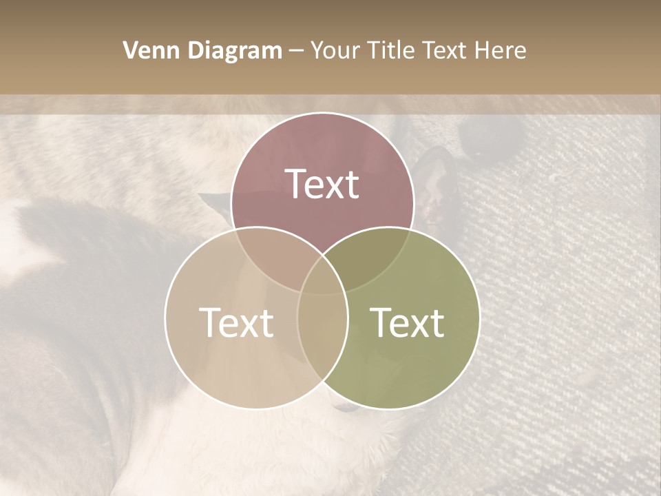 Elderly Woman With Her Daughter PowerPoint Template