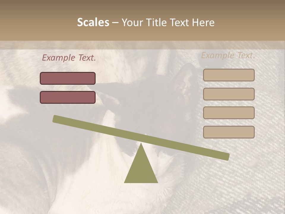 Elderly Woman With Her Daughter PowerPoint Template
