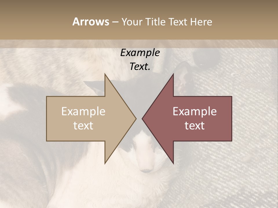 Elderly Woman With Her Daughter PowerPoint Template