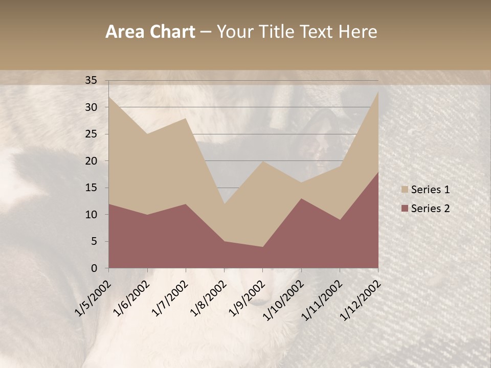Elderly Woman With Her Daughter PowerPoint Template