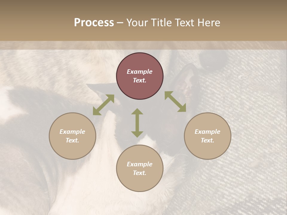 Elderly Woman With Her Daughter PowerPoint Template