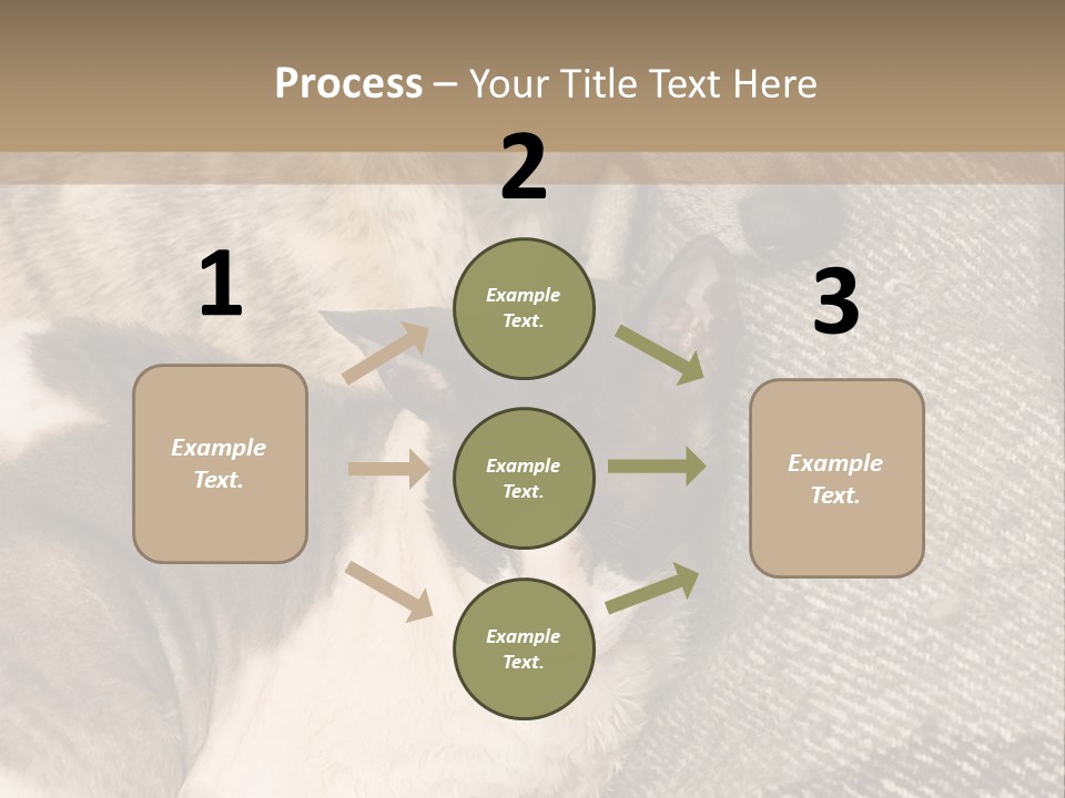Elderly Woman With Her Daughter PowerPoint Template