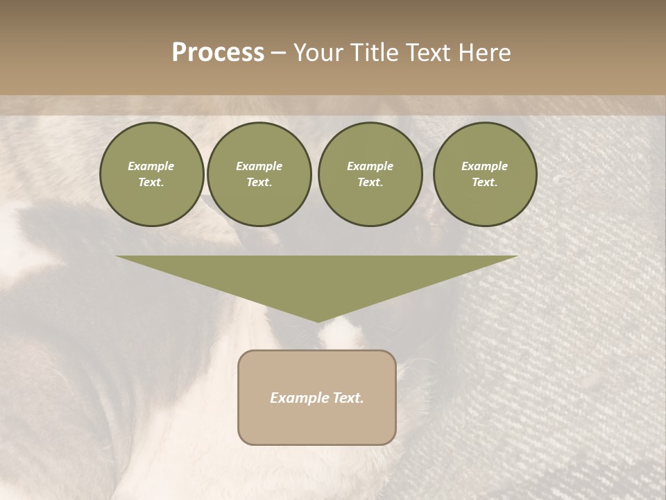 Elderly Woman With Her Daughter PowerPoint Template