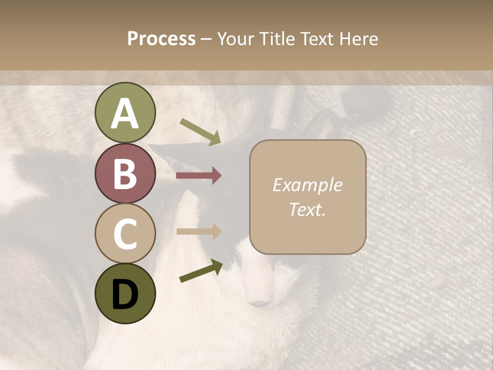 Elderly Woman With Her Daughter PowerPoint Template