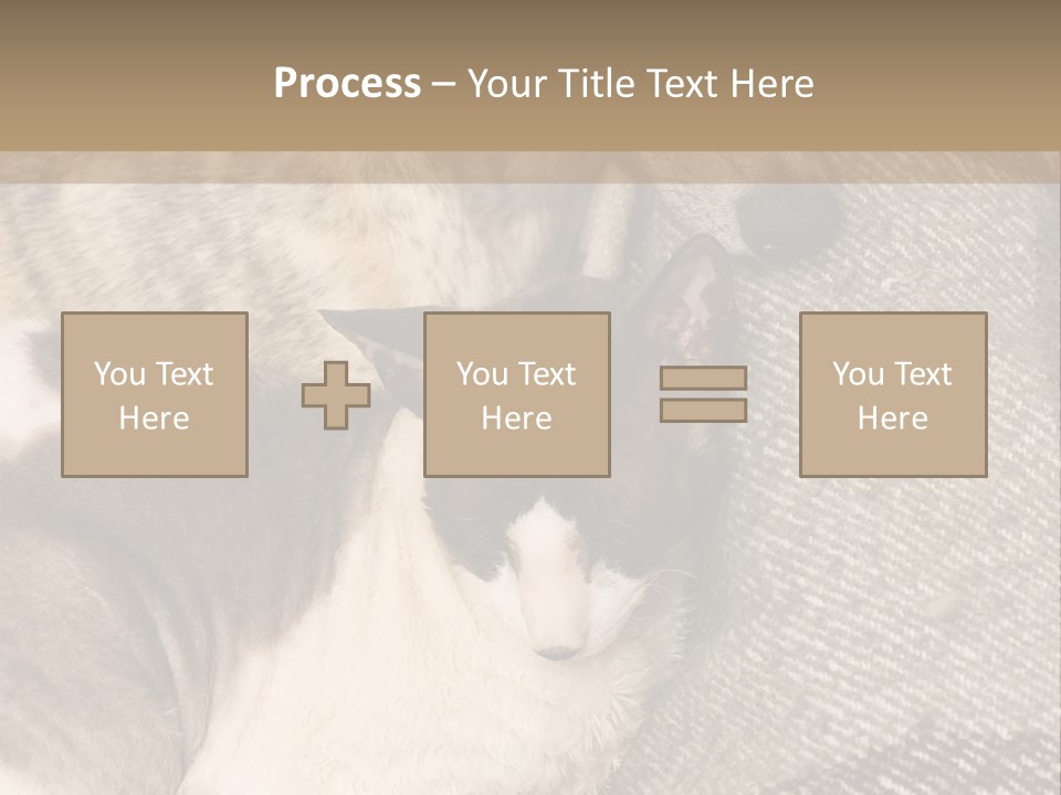 Elderly Woman With Her Daughter PowerPoint Template