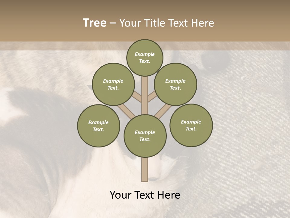 Elderly Woman With Her Daughter PowerPoint Template