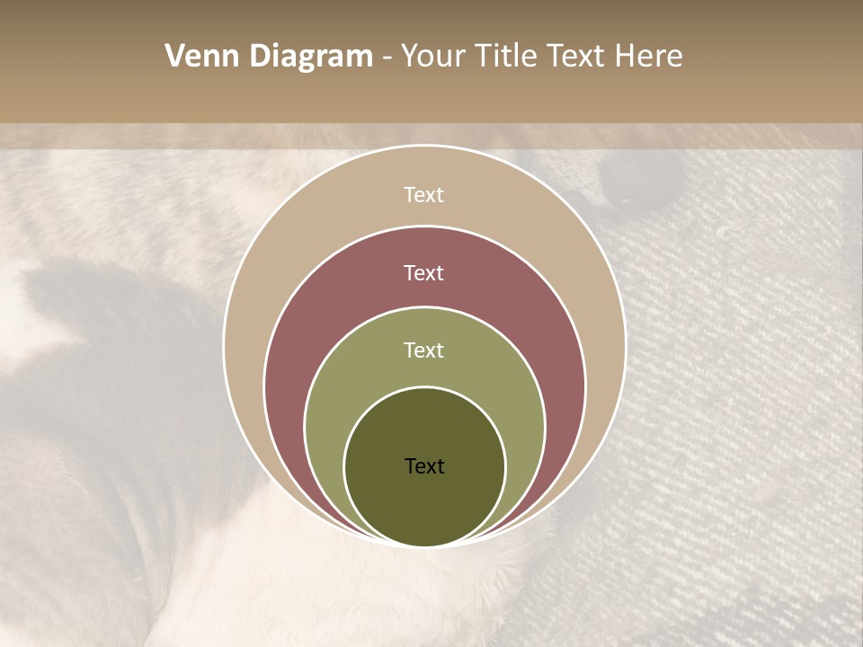 Elderly Woman With Her Daughter PowerPoint Template