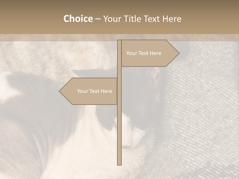Elderly Woman With Her Daughter PowerPoint Template