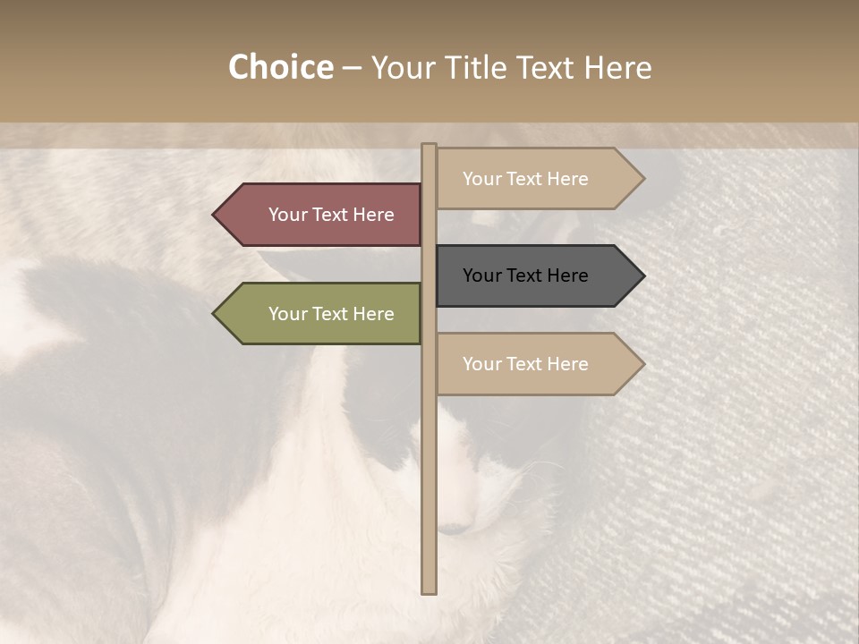 Elderly Woman With Her Daughter PowerPoint Template