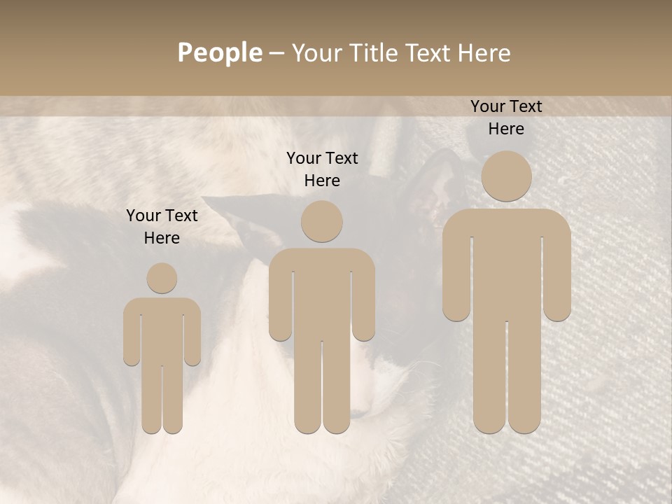 Elderly Woman With Her Daughter PowerPoint Template