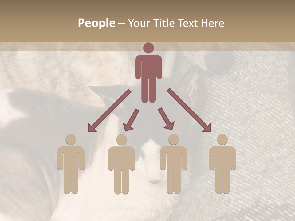 Elderly Woman With Her Daughter PowerPoint Template