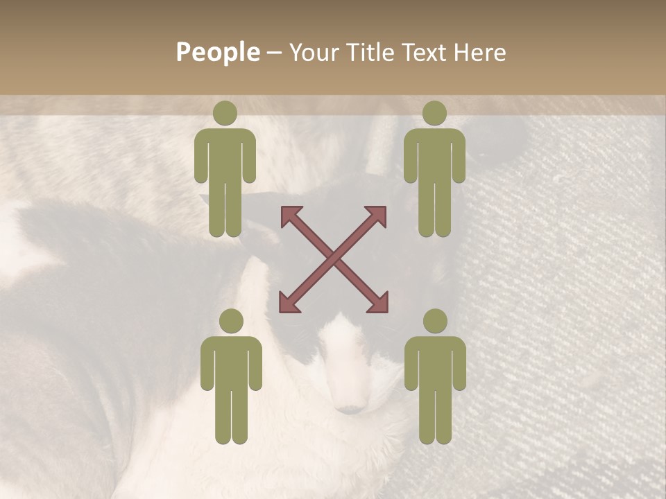 Elderly Woman With Her Daughter PowerPoint Template