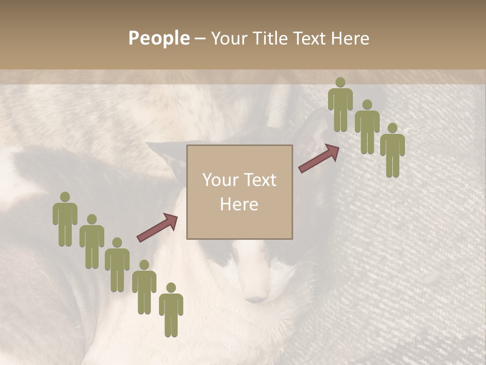 Elderly Woman With Her Daughter PowerPoint Template