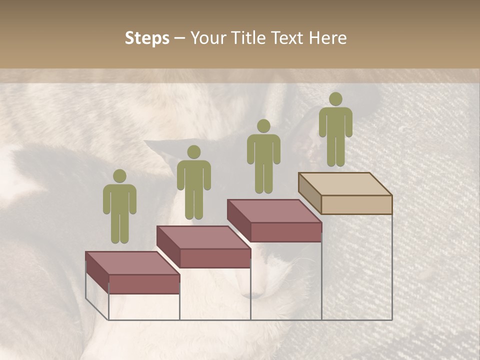 Elderly Woman With Her Daughter PowerPoint Template