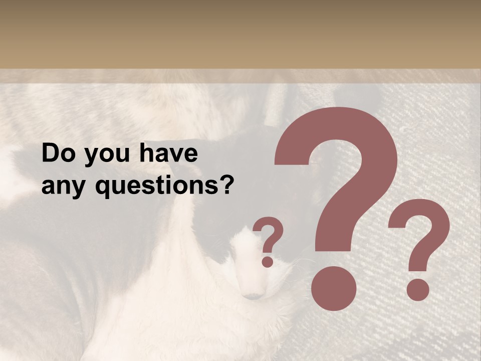 Elderly Woman With Her Daughter PowerPoint Template