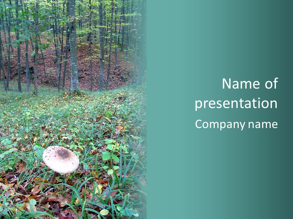 Mushroom In The Forest PowerPoint Template