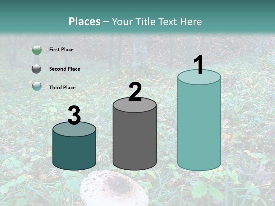Mushroom In The Forest PowerPoint Template