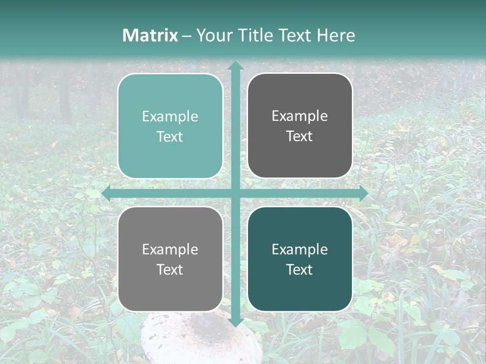 Mushroom In The Forest PowerPoint Template