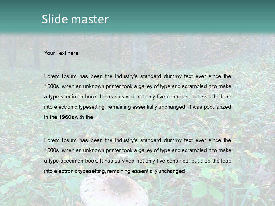 Mushroom In The Forest PowerPoint Template