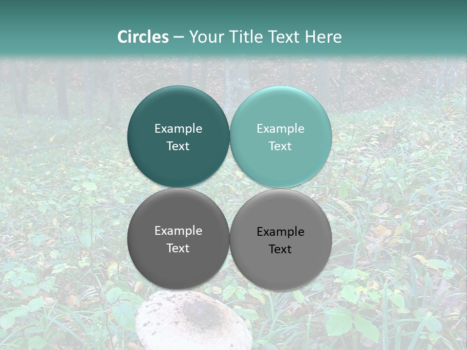 Mushroom In The Forest PowerPoint Template