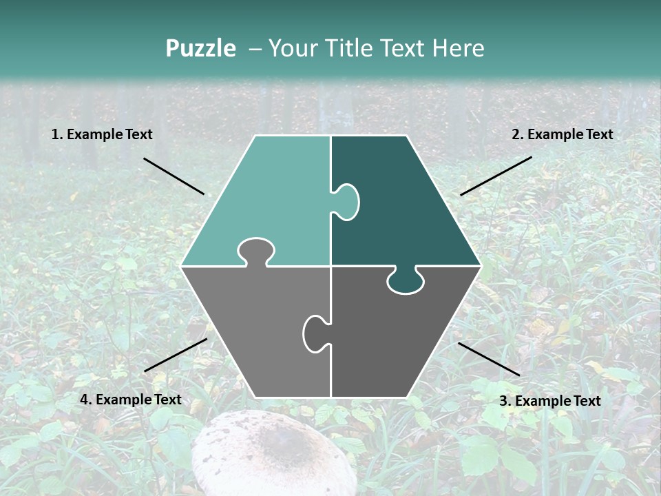 Mushroom In The Forest PowerPoint Template