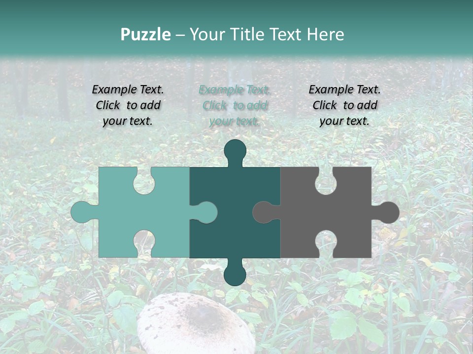 Mushroom In The Forest PowerPoint Template