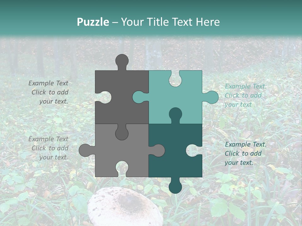 Mushroom In The Forest PowerPoint Template