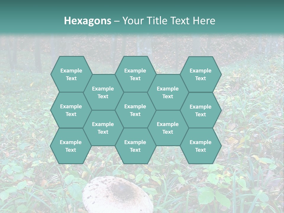 Mushroom In The Forest PowerPoint Template