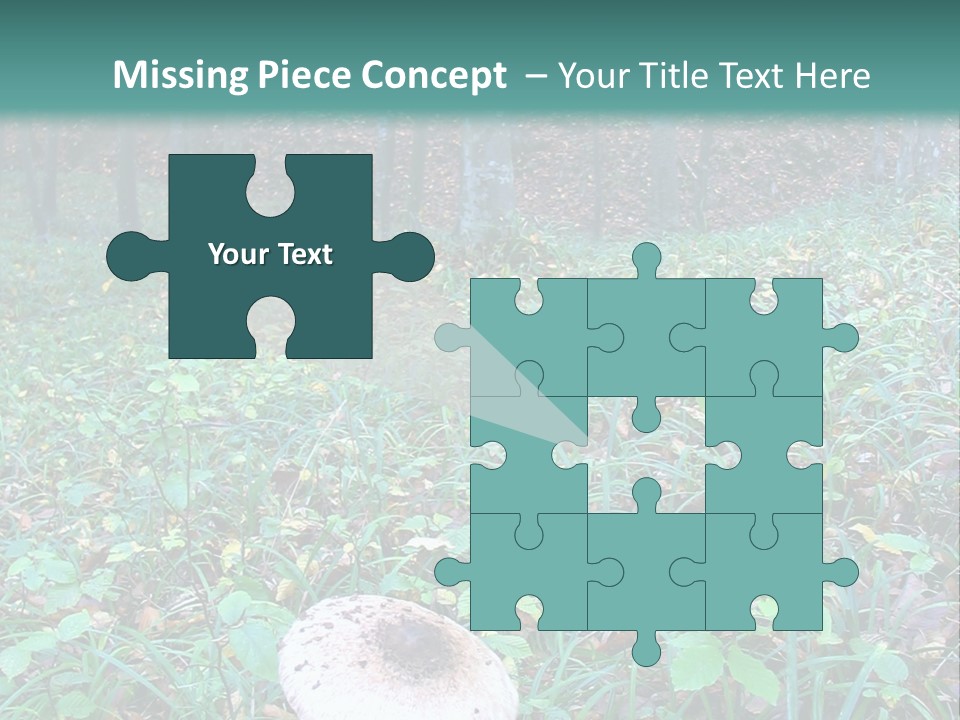 Mushroom In The Forest PowerPoint Template