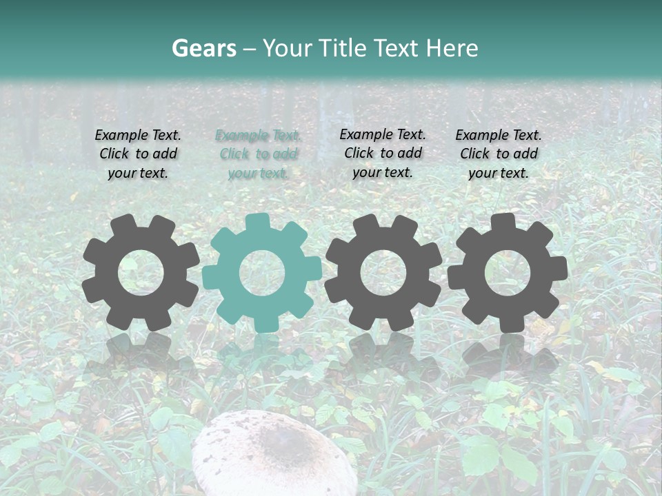 Mushroom In The Forest PowerPoint Template