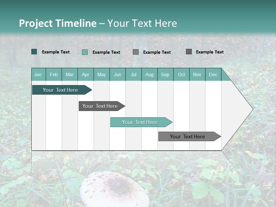 Mushroom In The Forest PowerPoint Template