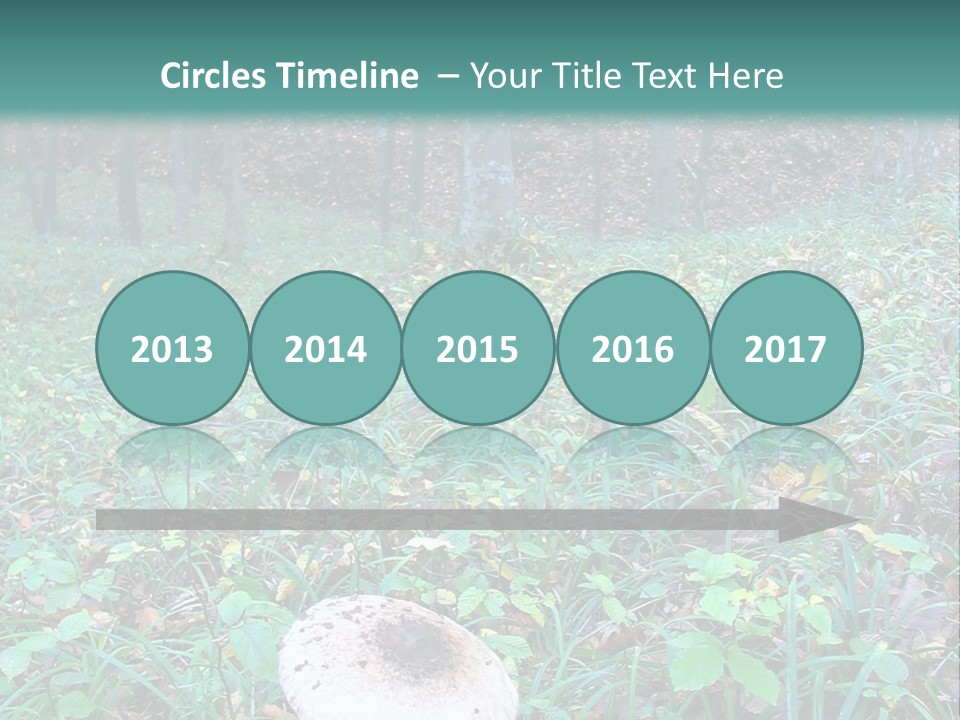 Mushroom In The Forest PowerPoint Template