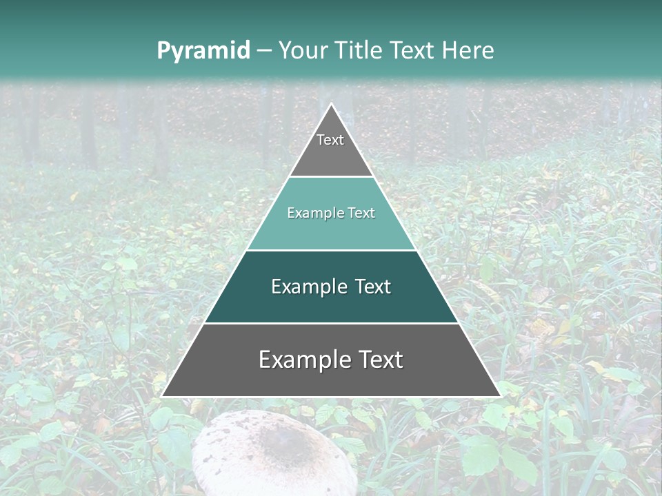 Mushroom In The Forest PowerPoint Template
