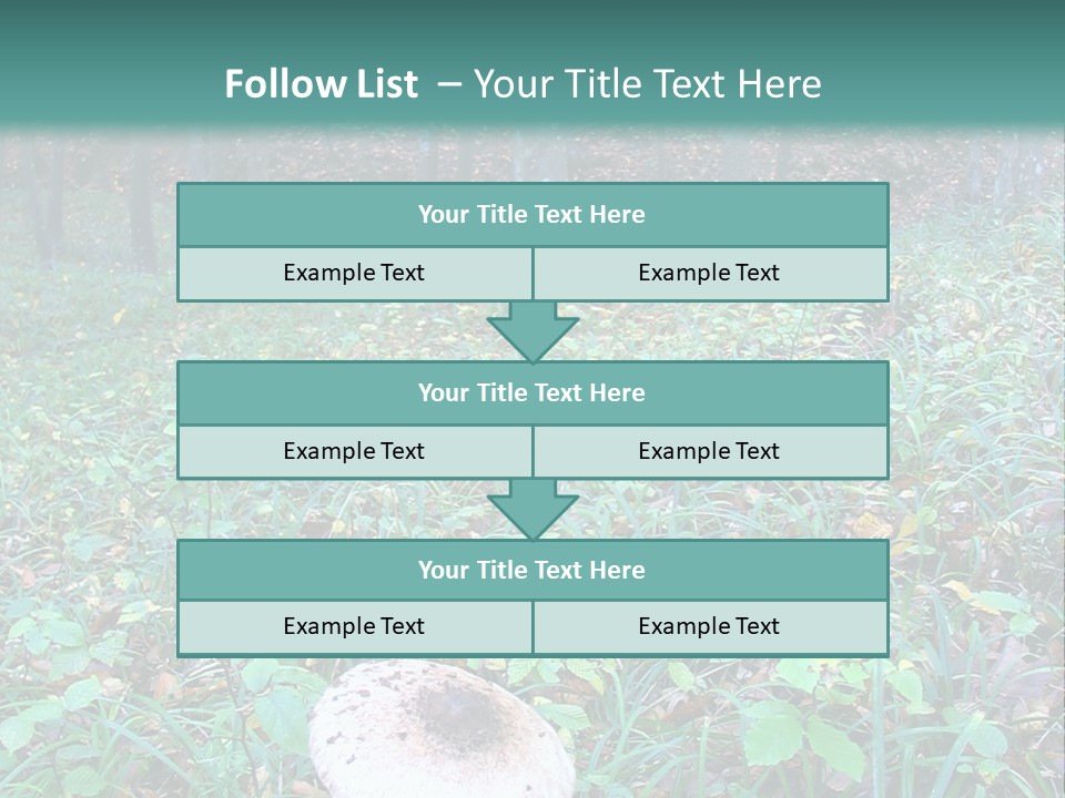 Mushroom In The Forest PowerPoint Template