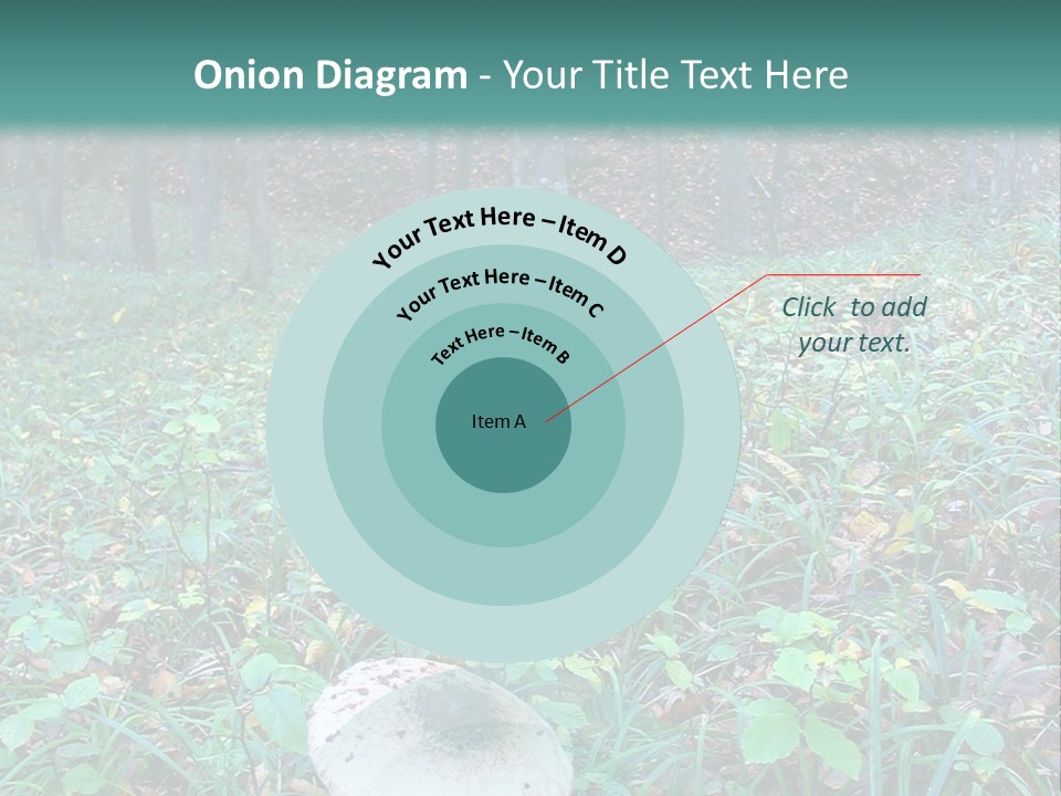 Mushroom In The Forest PowerPoint Template