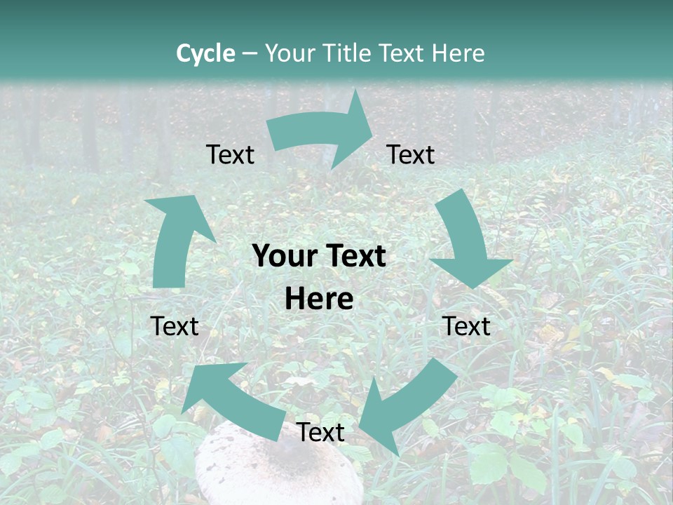 Mushroom In The Forest PowerPoint Template