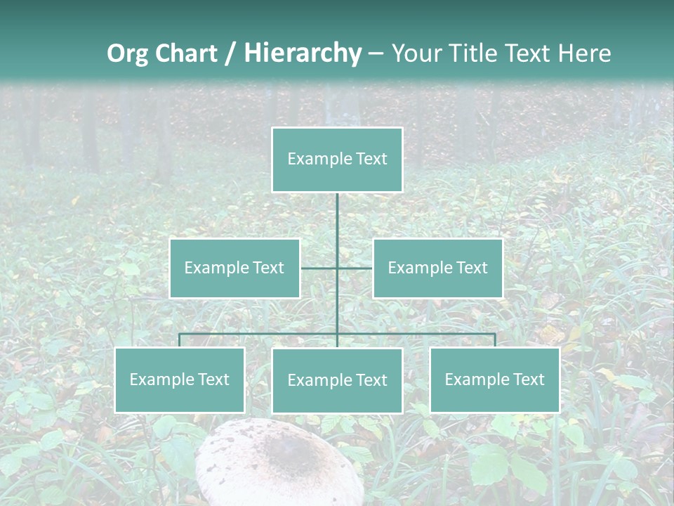 Mushroom In The Forest PowerPoint Template