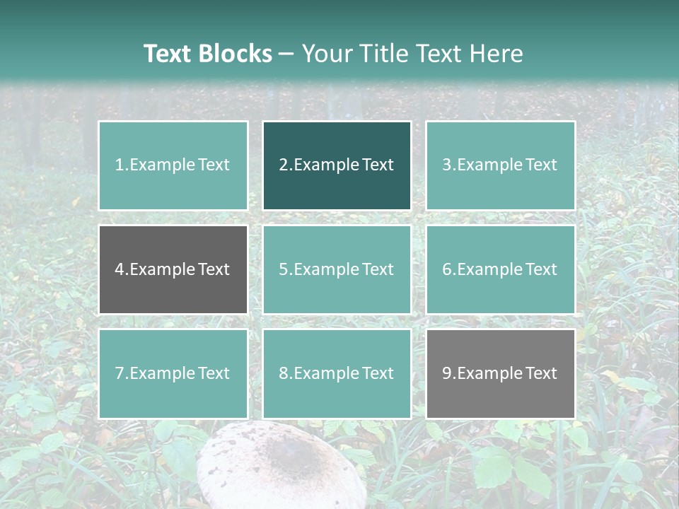 Mushroom In The Forest PowerPoint Template