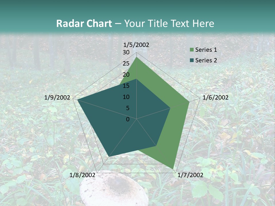 Mushroom In The Forest PowerPoint Template