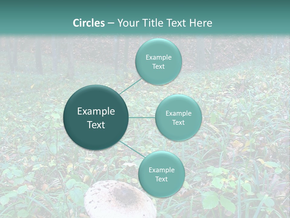 Mushroom In The Forest PowerPoint Template