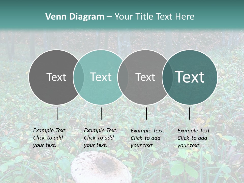 Mushroom In The Forest PowerPoint Template