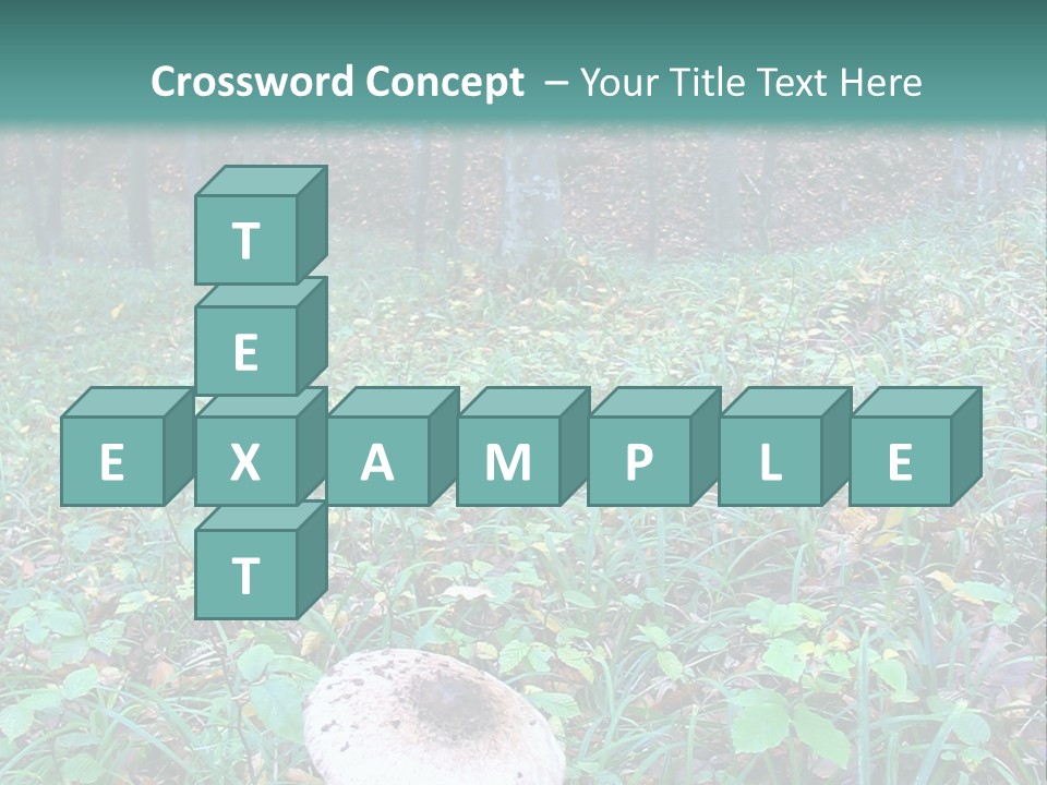 Mushroom In The Forest PowerPoint Template