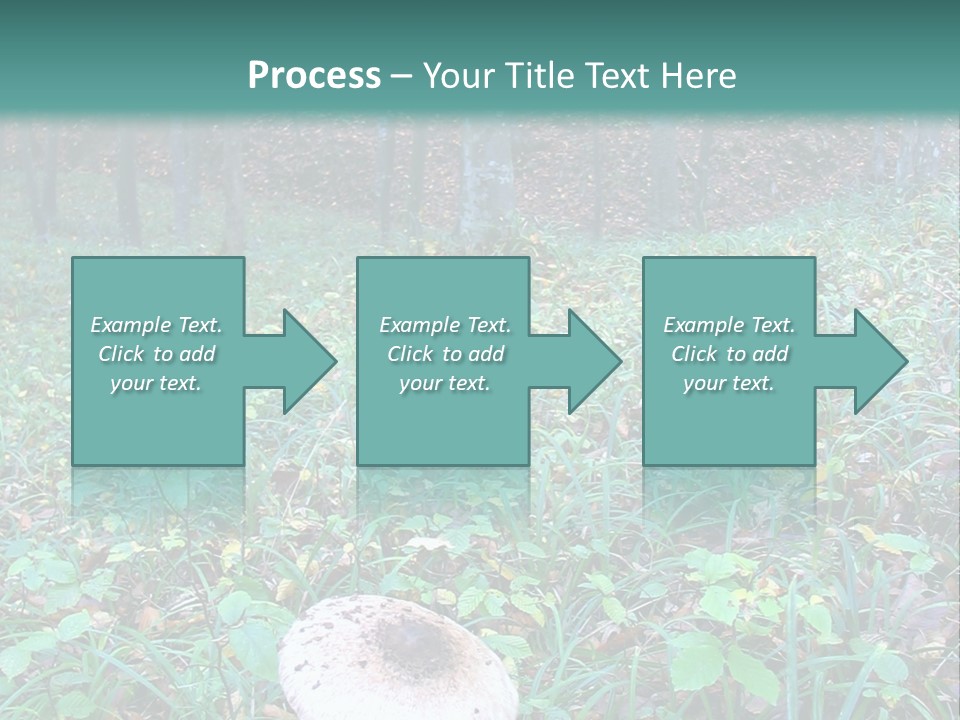 Mushroom In The Forest PowerPoint Template