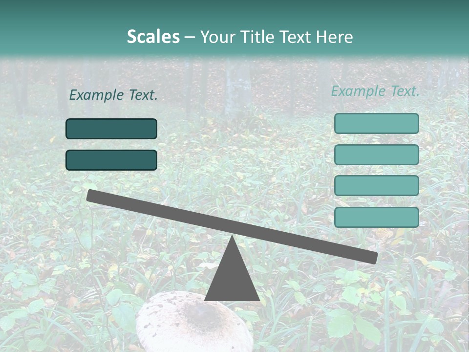 Mushroom In The Forest PowerPoint Template