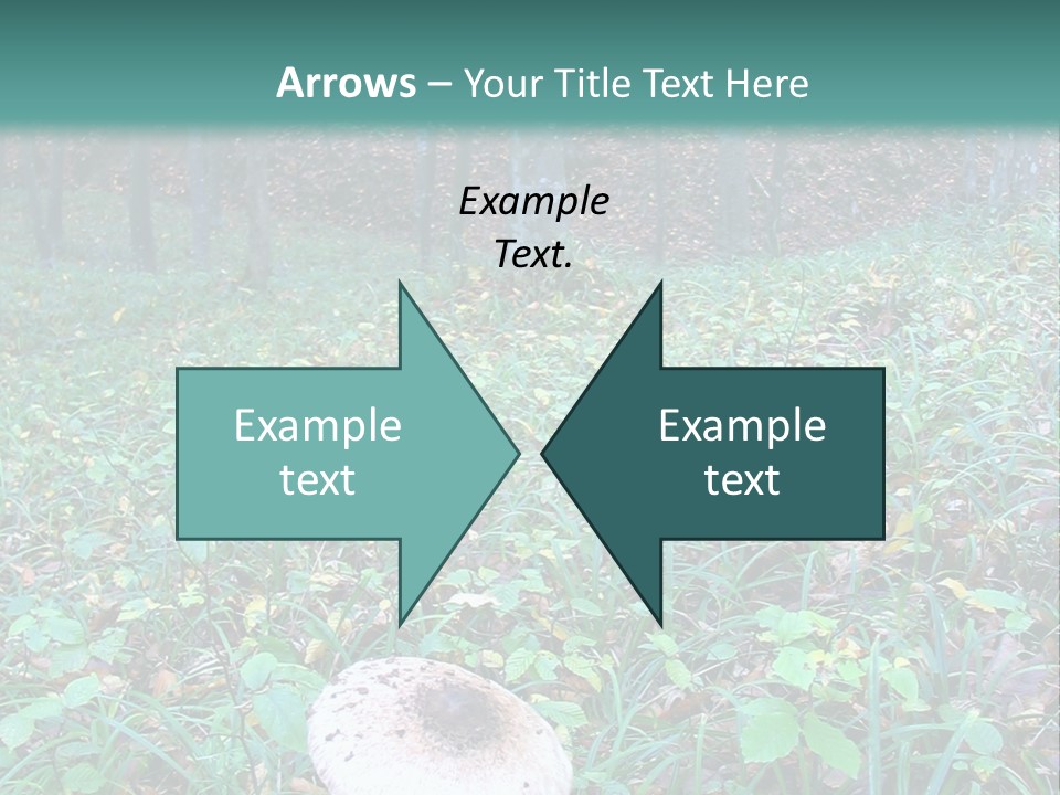 Mushroom In The Forest PowerPoint Template