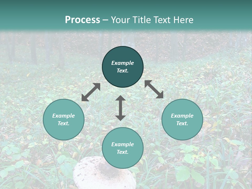 Mushroom In The Forest PowerPoint Template